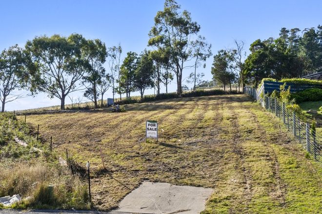 Vacant sloping block of land for sale with tree-lined rear boundary, ideal for custom home build